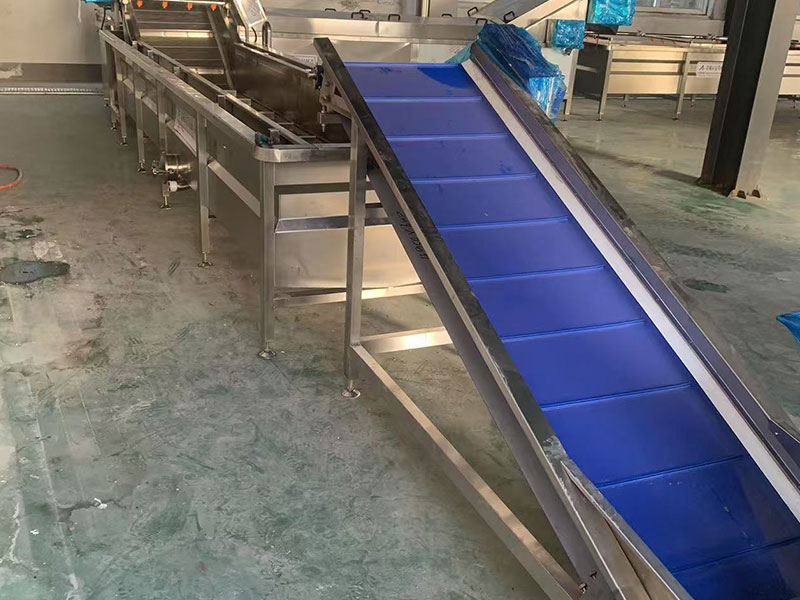 Shaanxi fruit and vegetable chips low-temperature frying processing site